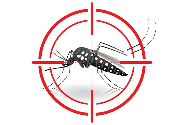 DENGUE!