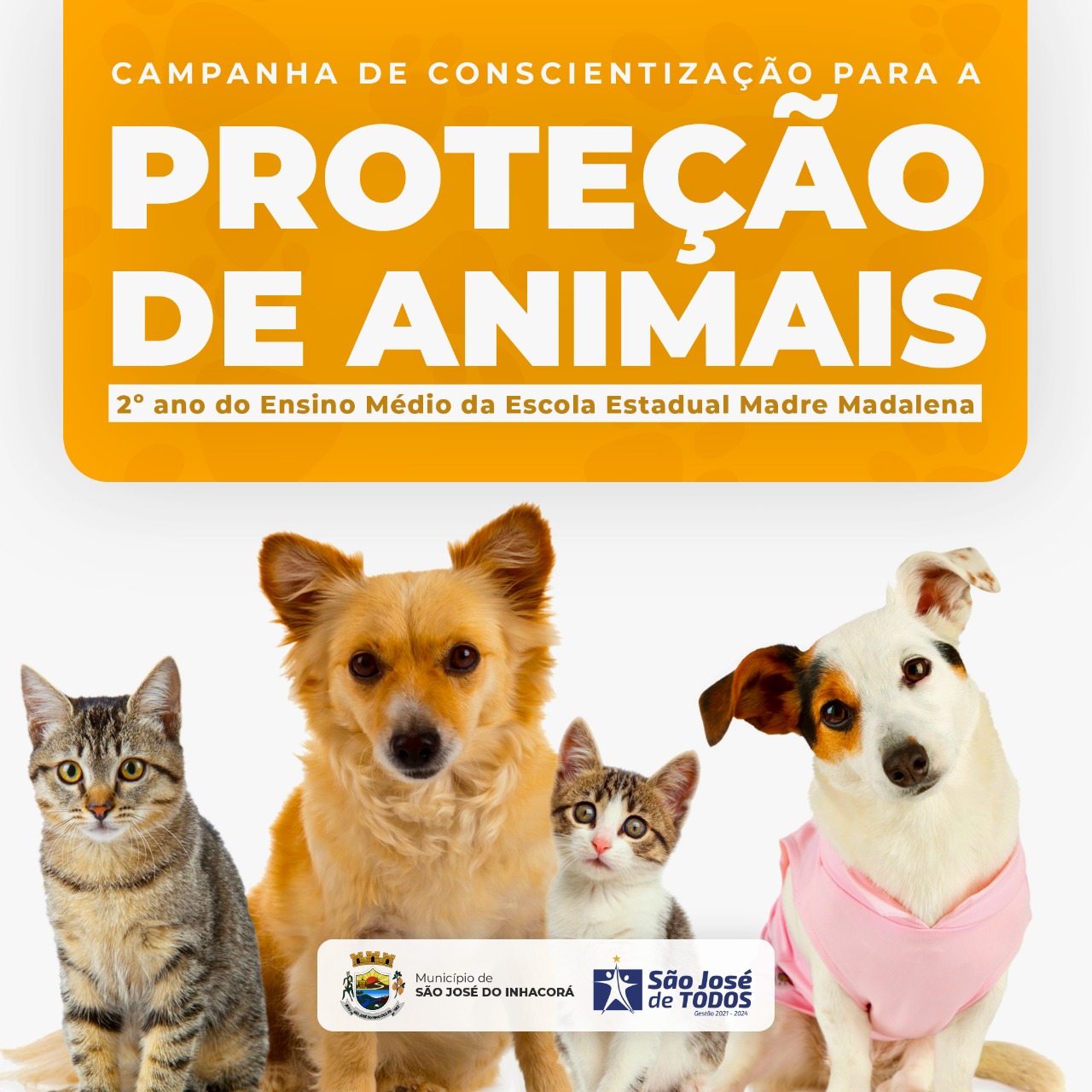 CAMPANHA DE CONSCIENTIZAÇAO PARA A PROTEÇAO ANIMAL