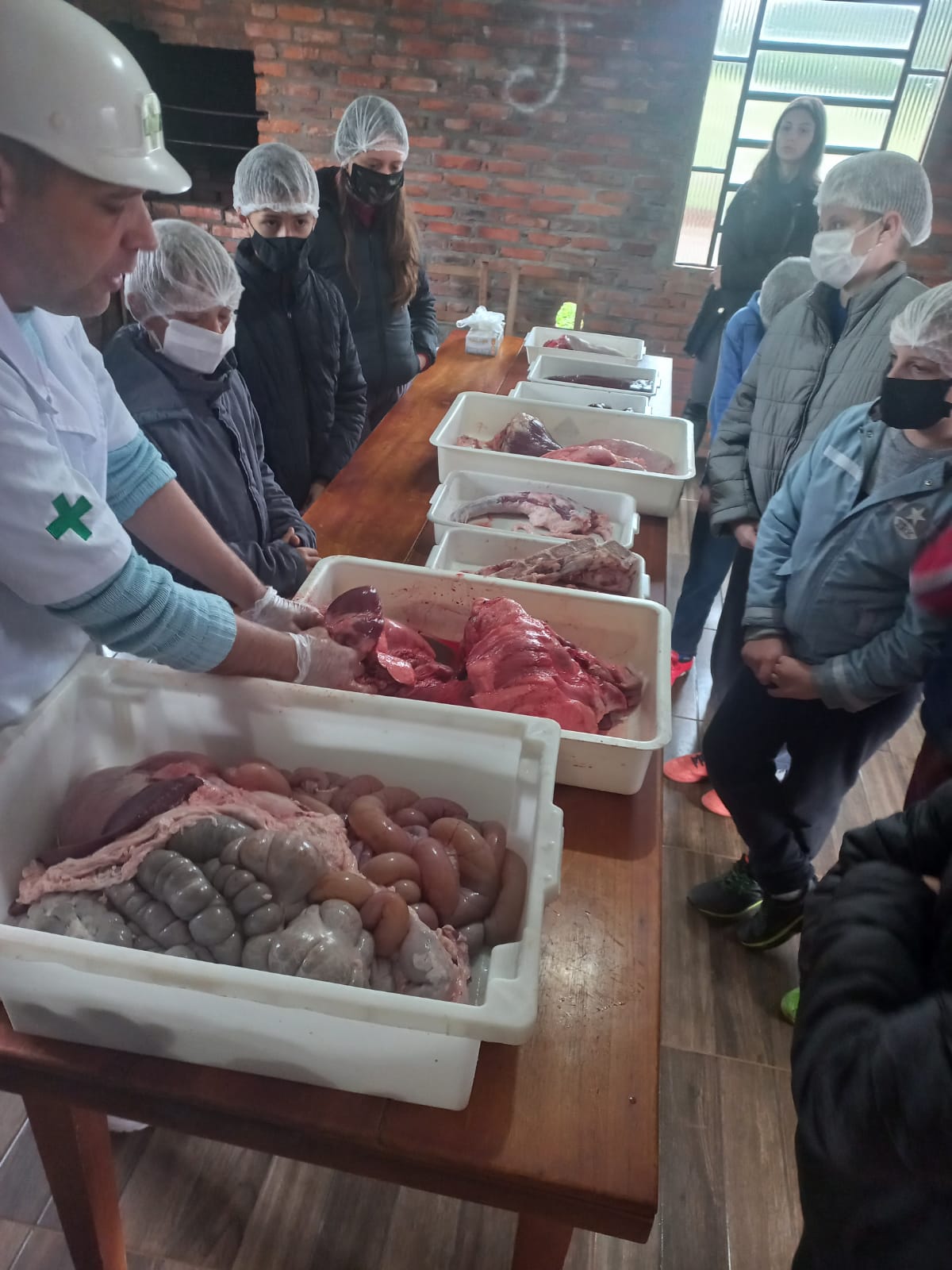 Aula de Anatomia Animal