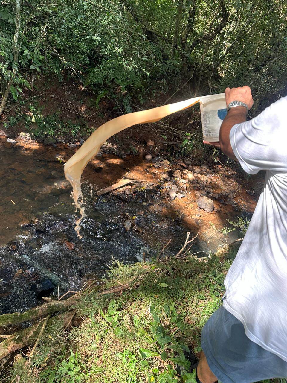 Vigilância Sanitária realizou dedetização em Ronda Alta