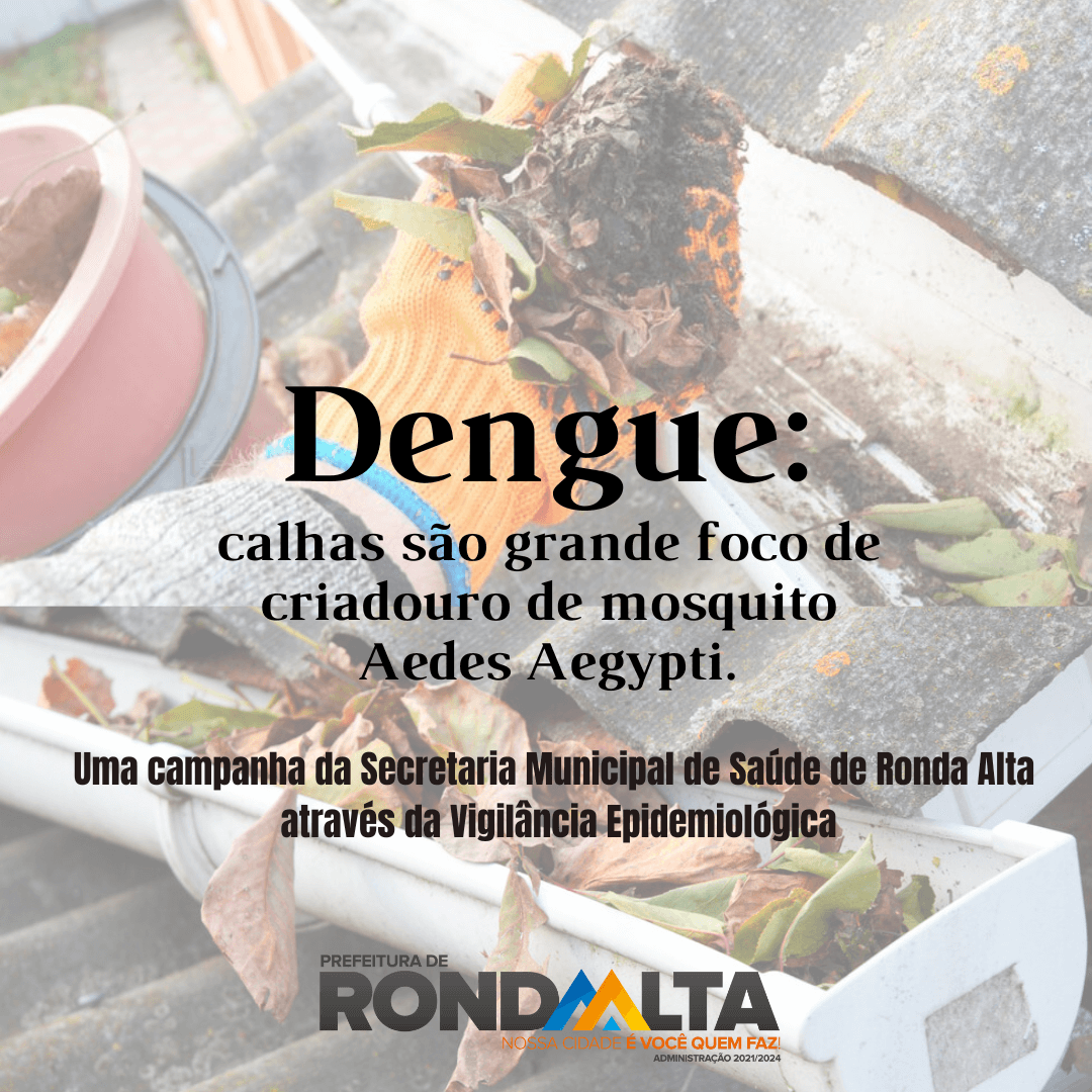 Dengue: calhas são grande foco de criadouro de mosquito Aedes Aegypti