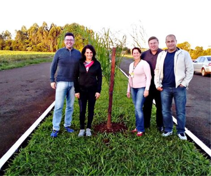 Tucunduvenses fazem a doação de 23 árvores para o embelezamento de um dos acessos de Tucunduva.
