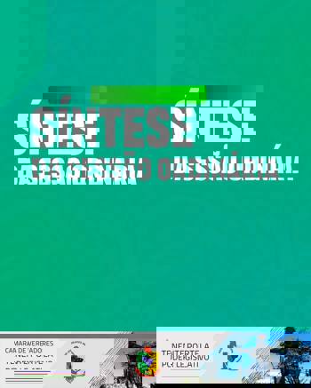 <p><u>S&iacute;ntese da Sess&atilde;o Ordin&aacute;ria de 30/06/2025</u></p>