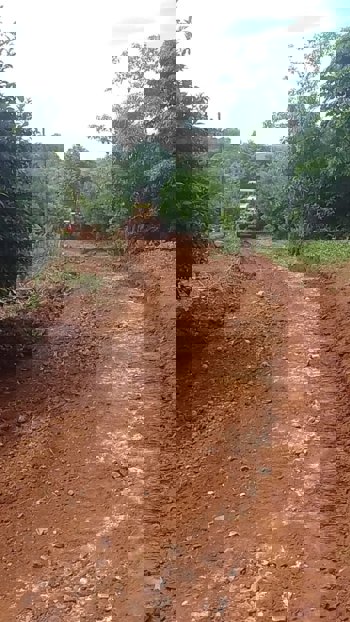 <p><strong>Recupera&ccedil;&atilde;o de Estradas Vicinais no Interior do Munic&iacute;pio de Redentora.</strong></p>