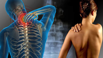 <p><span style="font-size: 14pt;">Presidente da C&acirc;mara promulga Lei que cria a Carteira&nbsp;</span><span style="font-size: 14pt;">Municipal de Identifica&ccedil;&atilde;o da Pessoa com Fibromialgia</span></p>