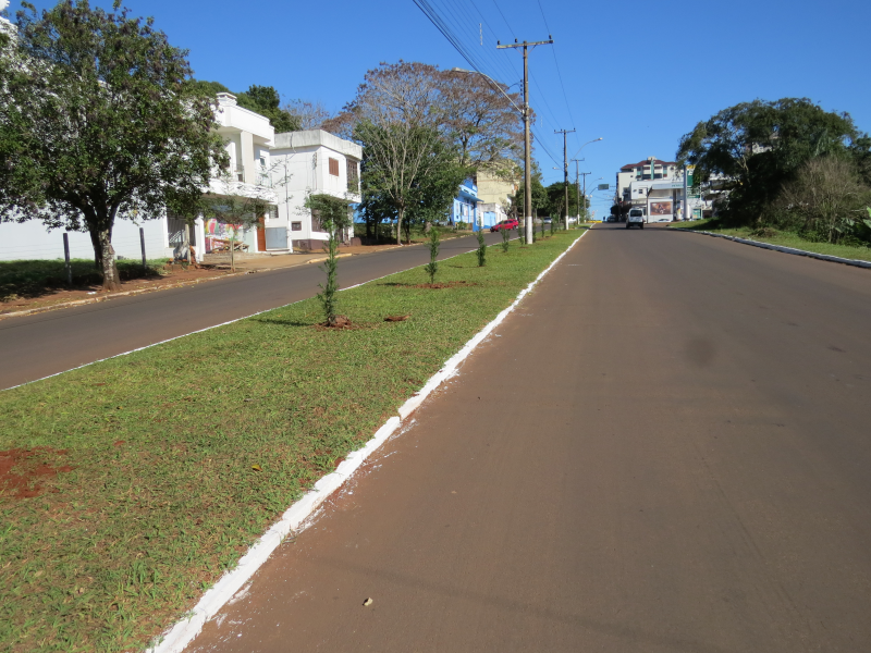 REVITALIZAÇÃO DA AV.CORONEL JORGE FRANTZ