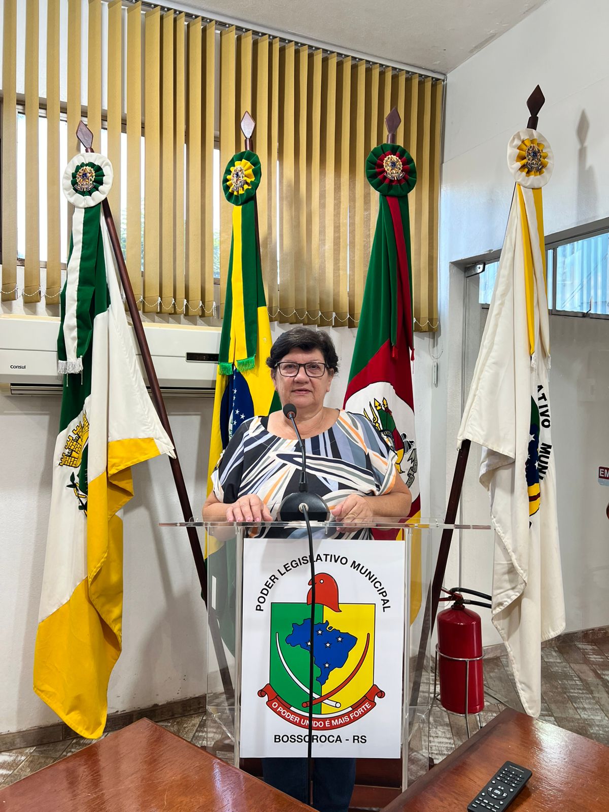Ruth Seli Batista Velloso
