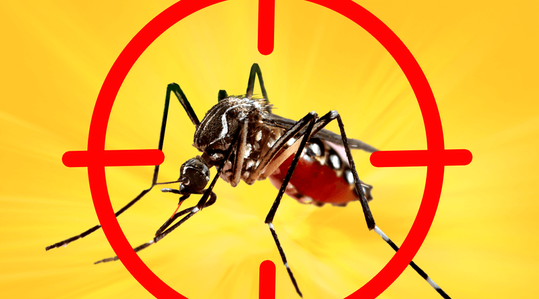 <p><strong>Cuidados com a dengue no feriado de Finados</strong></p>