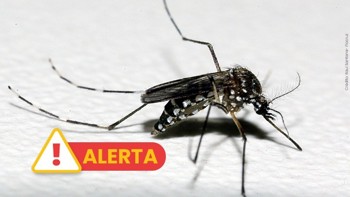 <p>Combate &agrave; Dengue</p>