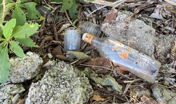 <p><strong>Combate &agrave; dengue </strong></p>