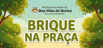 <p><strong>Brique na Pra&ccedil;a acontece no dia 21 de dezembro </strong></p>