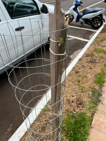 <p><strong>Cuidar da nossa cidade &eacute; responsabilidade de todos</strong></p>