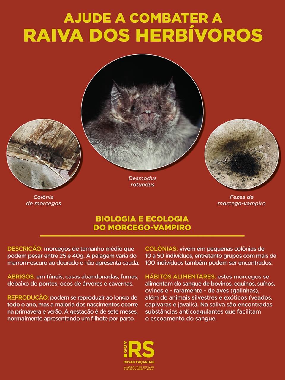 Alerta sanitário em relação ao surgimento de casos de raiva herbívora