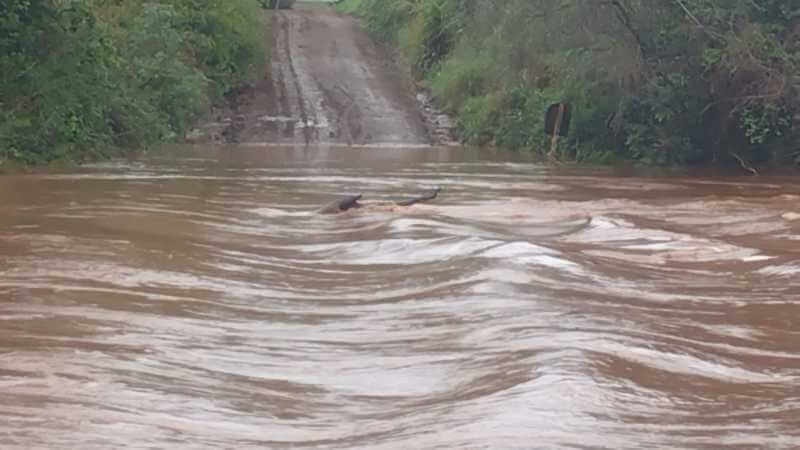 Pontes estão interditadas em Boa Vista do Buricá