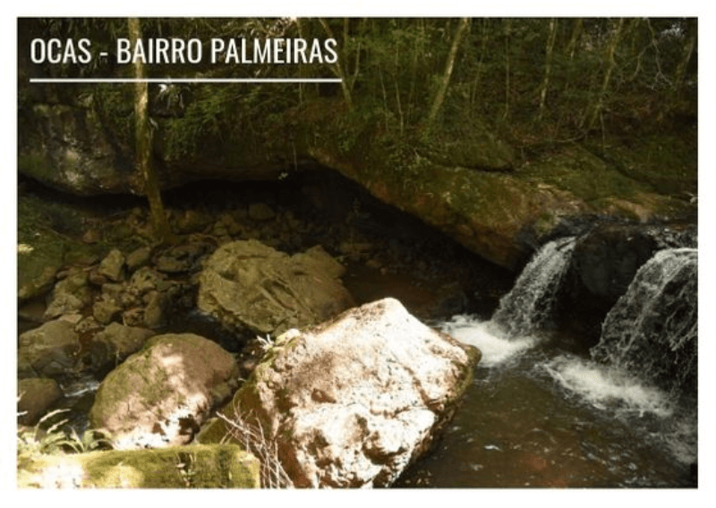 OCAS – BAIRRO PALMEIRAS