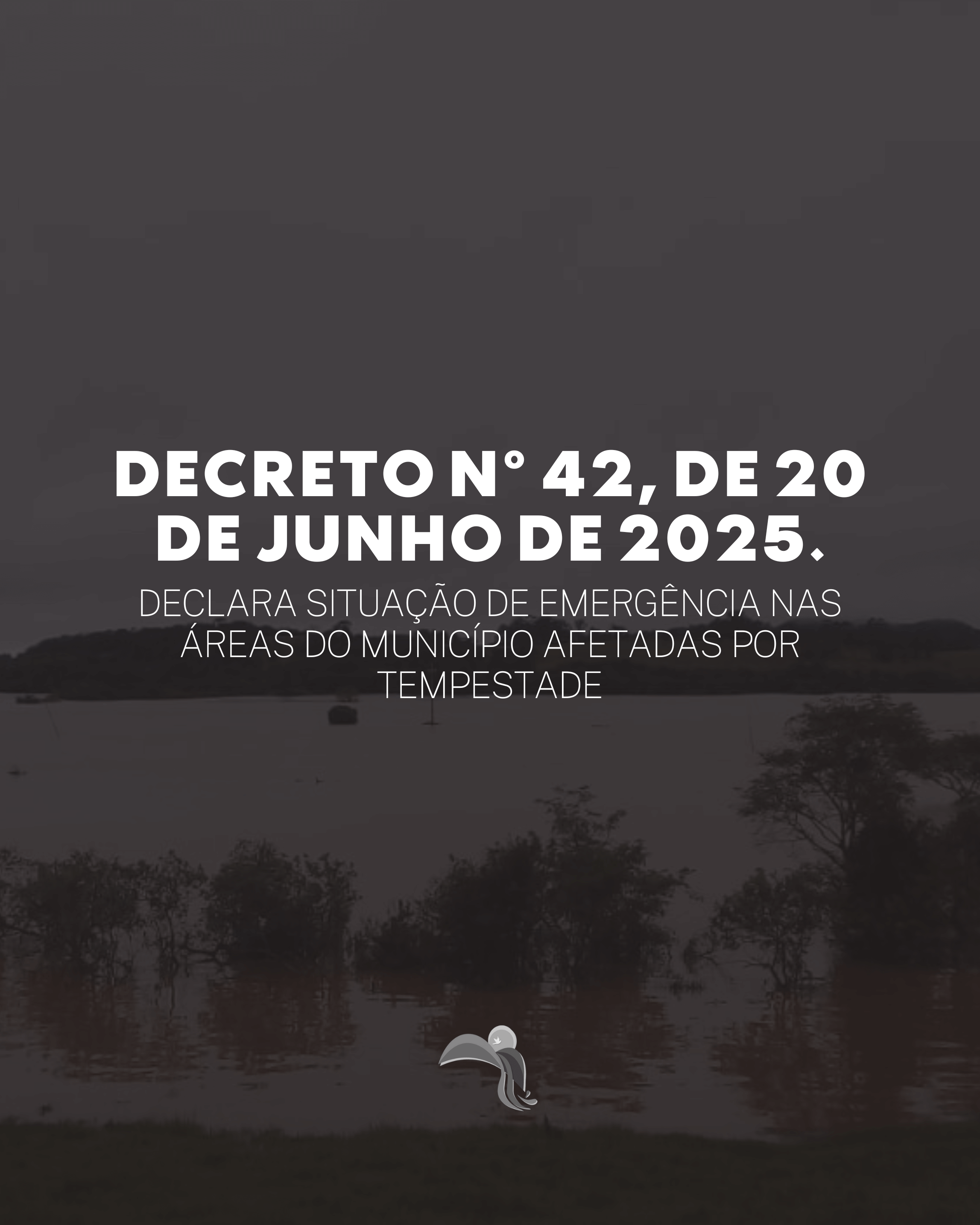 <p>DECRETO Nº 42, DE 20 DE JUNHO DE 2025</p>