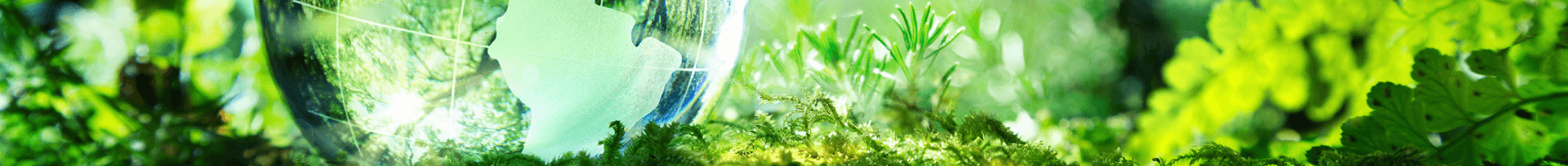 Secretaria Municipal do Meio Ambiente - Santo Ângelo