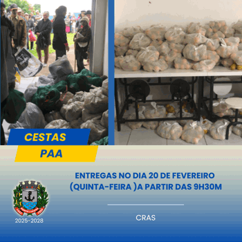 <p><strong>CESTAS PAA</strong></p>