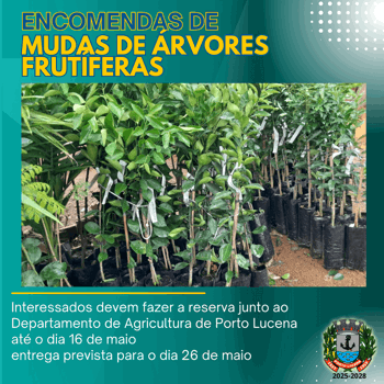 <p><strong>MUDAS DE &Aacute;RVORES FRUT&Iacute;FERAS</strong></p>