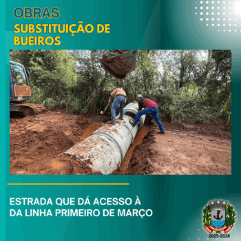 <p><strong>SUBSTITUI&Ccedil;&Atilde;O DE BUEIROS</strong></p>