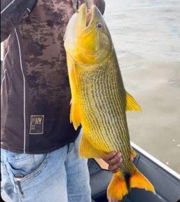PESCA ESPORTIVA&nbsp;AVAN&Ccedil;A